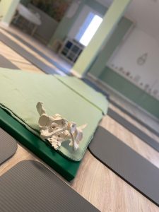Das Frauenzimmer